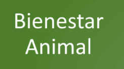bienestar animal