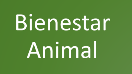 bienestar animal