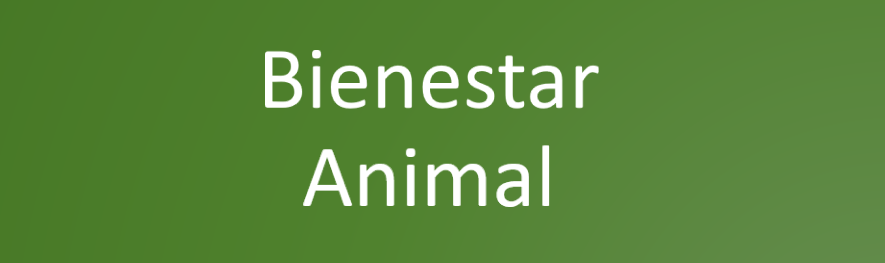 bienestar animal